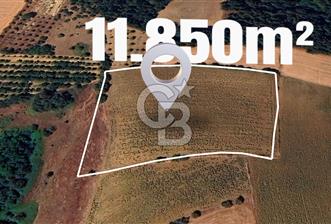BURSA YENİŞEHİR SELİMİYE'DE 11.850 m² YATIRIM FIRSATI! - 11 - 356312