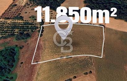 BURSA YENİŞEHİR SELİMİYE'DE 11.850 m² YATIRIM FIRSATI!