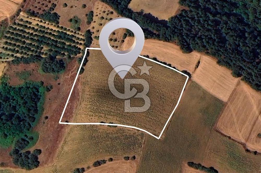 BURSA YENİŞEHİR SELİMİYE'DE 11.850 m² YATIRIM FIRSATI!