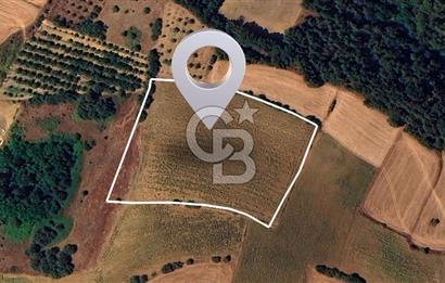 BURSA YENİŞEHİR SELİMİYE'DE 11.850 m² YATIRIM FIRSATI!