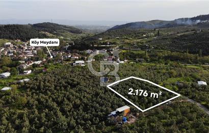 Mudanya Dereköy'de Yola Cephe Köy Merkezine Çok Yakın Zeytinlik