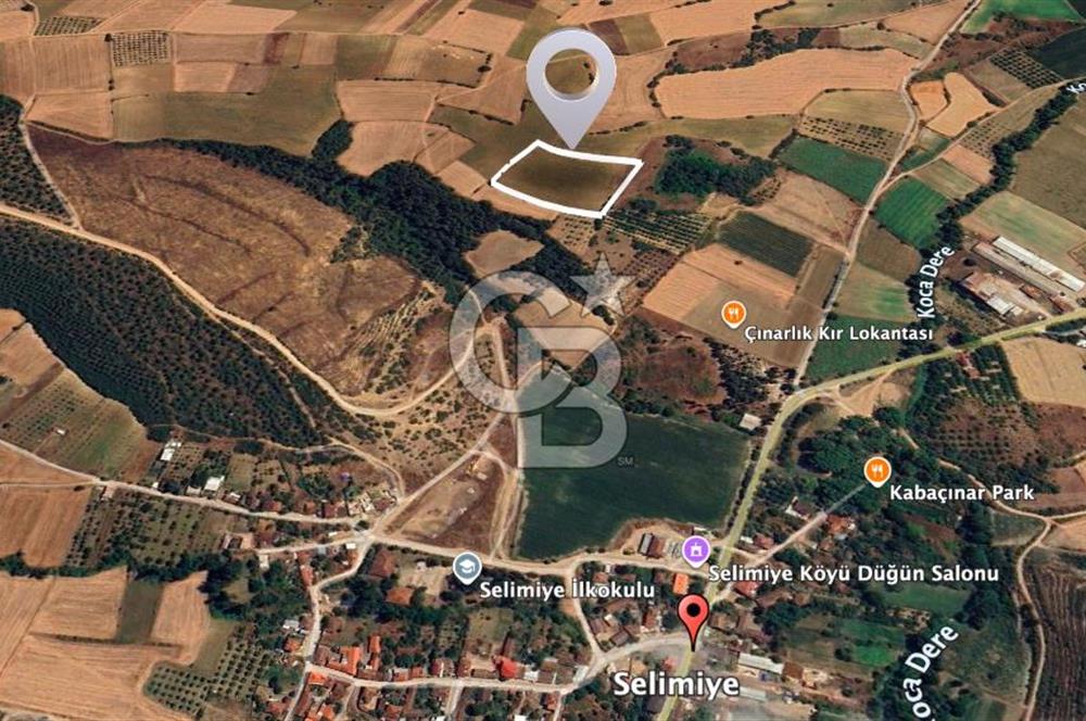 BURSA YENİŞEHİR SELİMİYE'DE 11.850 m² YATIRIM FIRSATI!