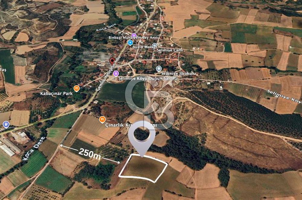 BURSA YENİŞEHİR SELİMİYE'DE 11.850 m² YATIRIM FIRSATI!