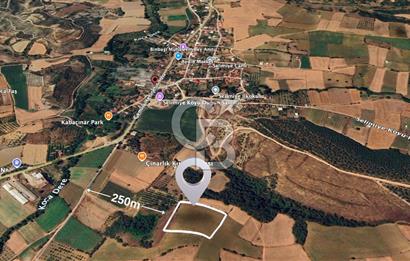 BURSA YENİŞEHİR SELİMİYE'DE 11.850 m² YATIRIM FIRSATI!