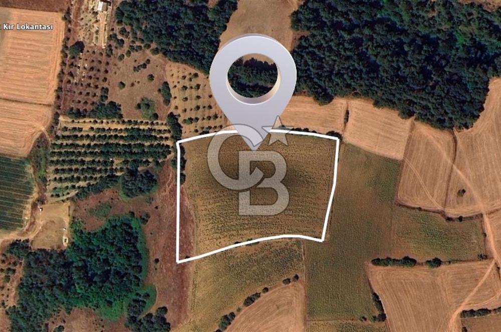 BURSA YENİŞEHİR SELİMİYE'DE 11.850 m² YATIRIM FIRSATI!