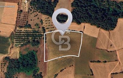 BURSA YENİŞEHİR SELİMİYE'DE 11.850 m² YATIRIM FIRSATI!