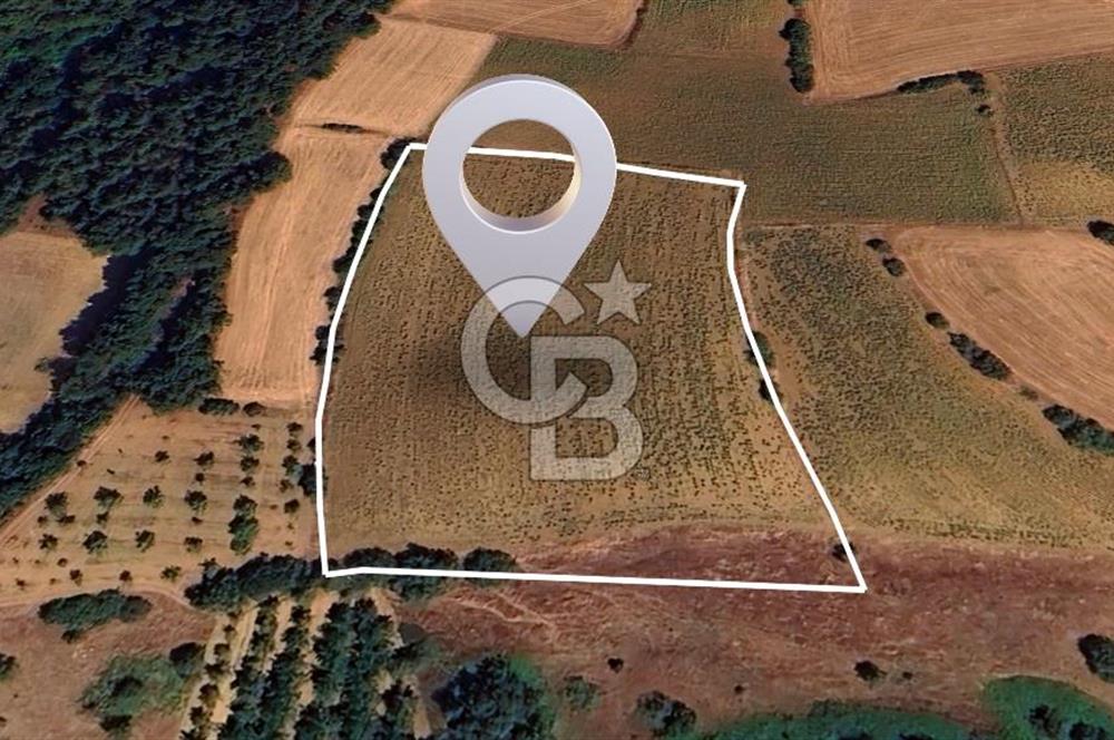 BURSA YENİŞEHİR SELİMİYE'DE 11.850 m² YATIRIM FIRSATI!