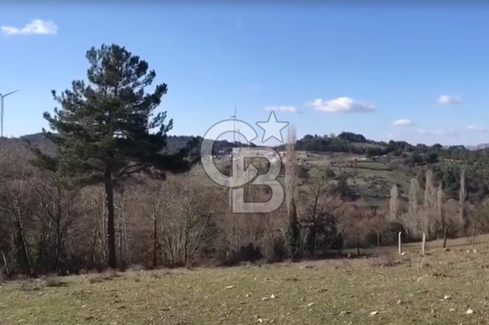 Çanakkale Ayvacık’da Ormana Cephe, Sınırından Dere Akan, Lokasyon Harikası 8,5 Dönüm Tarla!