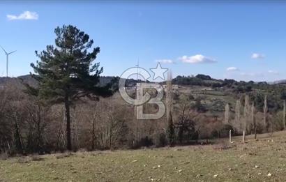 Çanakkale Ayvacık’da Ormana Cephe, Sınırından Dere Akan, Lokasyon Harikası 8,5 Dönüm Tarla!