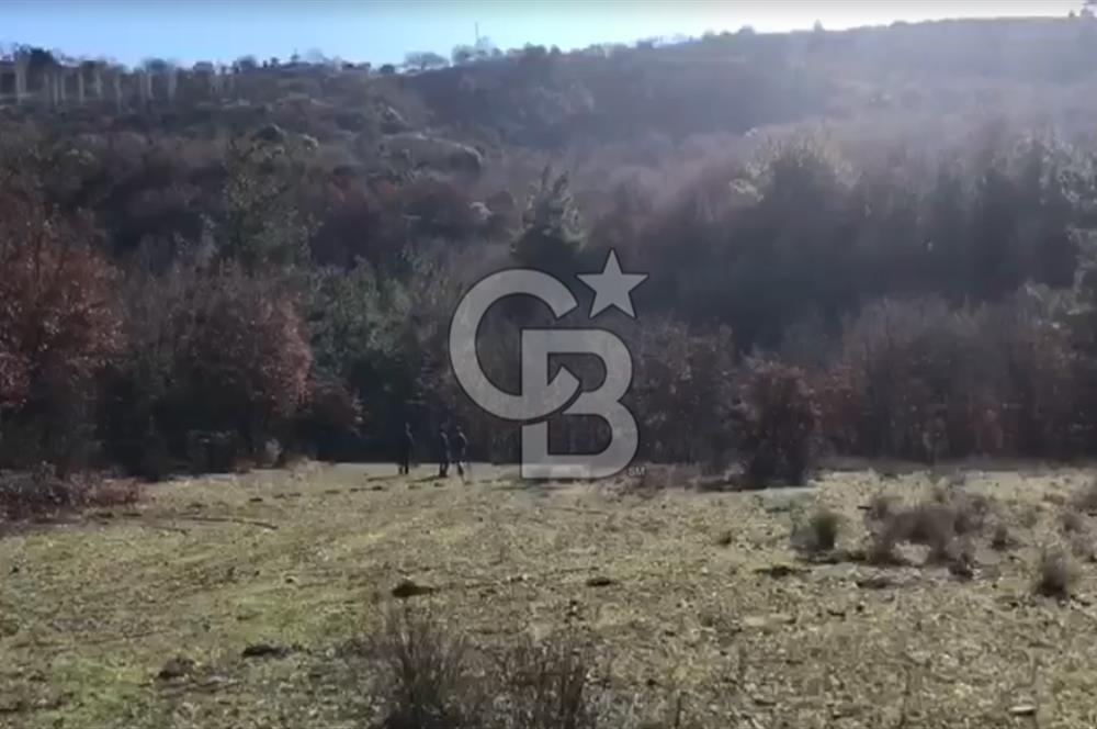 Çanakkale Ayvacık’da Ormana Cephe, Sınırından Dere Akan, Lokasyon Harikası 8,5 Dönüm Tarla!