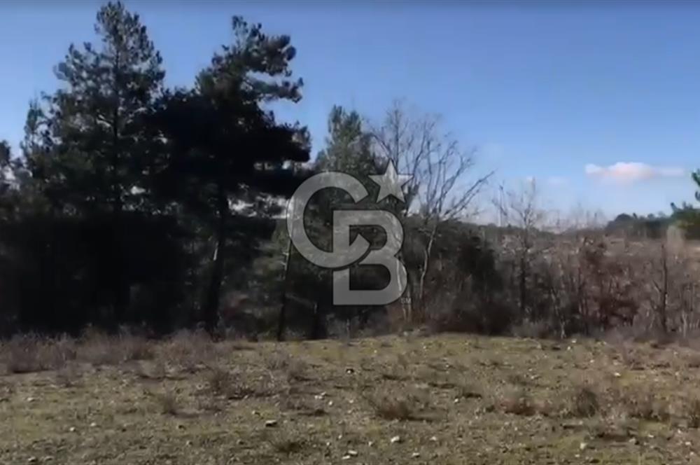 Çanakkale Ayvacık’da Ormana Cephe, Sınırından Dere Akan, Lokasyon Harikası 8,5 Dönüm Tarla!