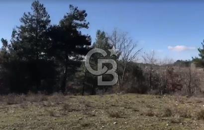 Çanakkale Ayvacık’da Ormana Cephe, Sınırından Dere Akan, Lokasyon Harikası 8,5 Dönüm Tarla!