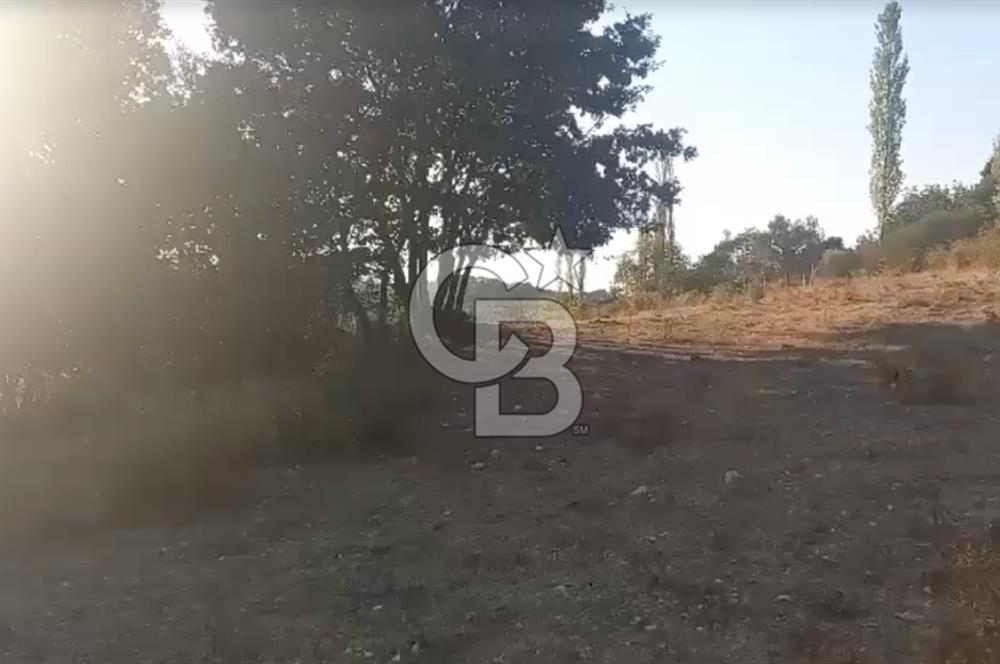 Çanakkale Ayvacık’da Ormana Cephe, Sınırından Dere Akan, Lokasyon Harikası 8,5 Dönüm Tarla!
