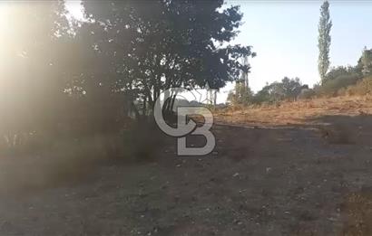 Çanakkale Ayvacık’da Ormana Cephe, Sınırından Dere Akan, Lokasyon Harikası 8,5 Dönüm Tarla!
