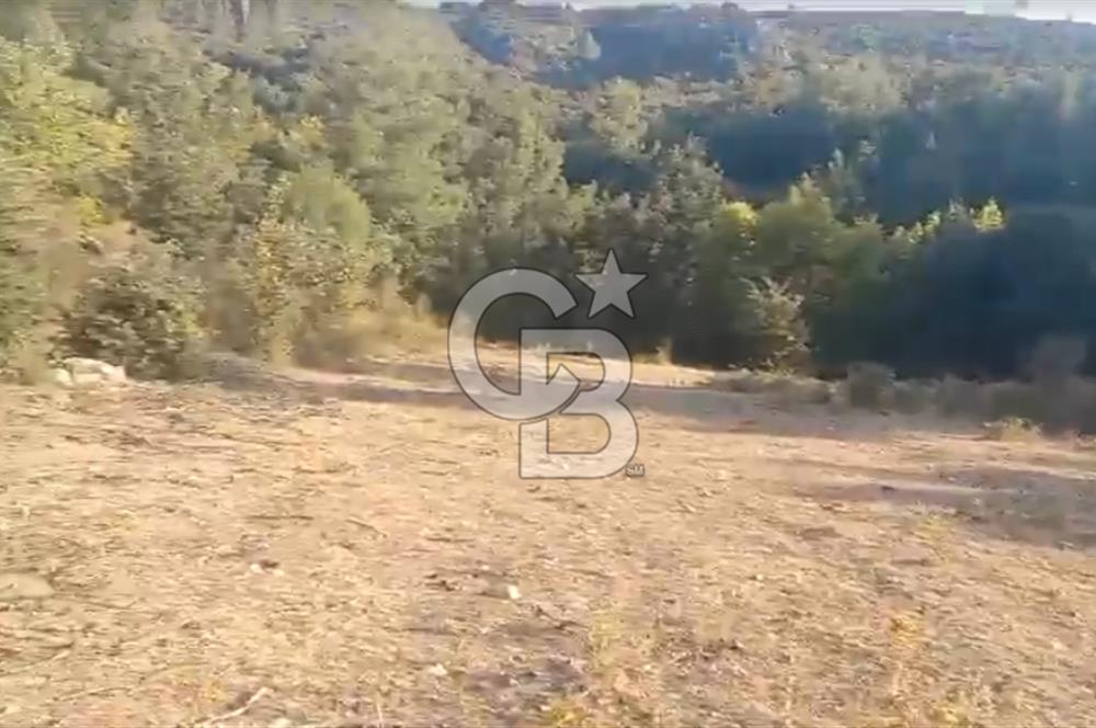 Çanakkale Ayvacık’da Ormana Cephe, Sınırından Dere Akan, Lokasyon Harikası 8,5 Dönüm Tarla!