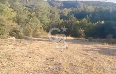 Çanakkale Ayvacık’da Ormana Cephe, Sınırından Dere Akan, Lokasyon Harikası 8,5 Dönüm Tarla!