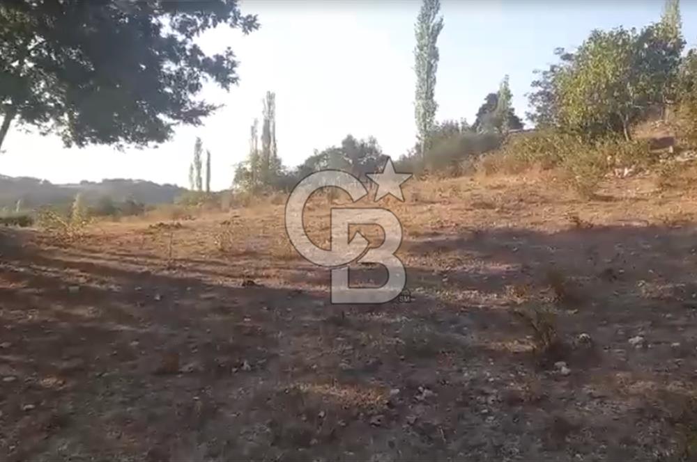 Çanakkale Ayvacık’da Ormana Cephe, Sınırından Dere Akan, Lokasyon Harikası 8,5 Dönüm Tarla!
