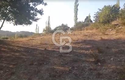 Çanakkale Ayvacık’da Ormana Cephe, Sınırından Dere Akan, Lokasyon Harikası 8,5 Dönüm Tarla!
