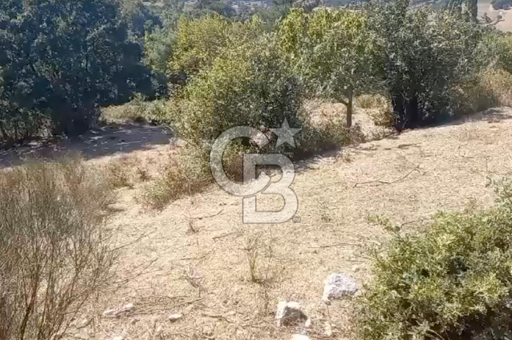 Çanakkale Ayvacık’da Ormana Cephe, Sınırından Dere Akan, Lokasyon Harikası 8,5 Dönüm Tarla!