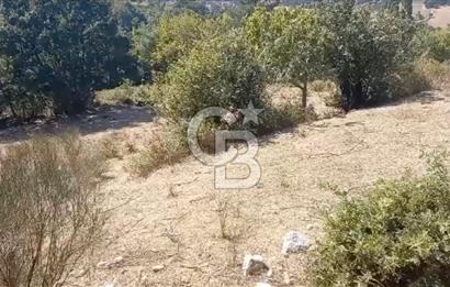 Çanakkale Ayvacık’da Ormana Cephe, Sınırından Dere Akan, Lokasyon Harikası 8,5 Dönüm Tarla!