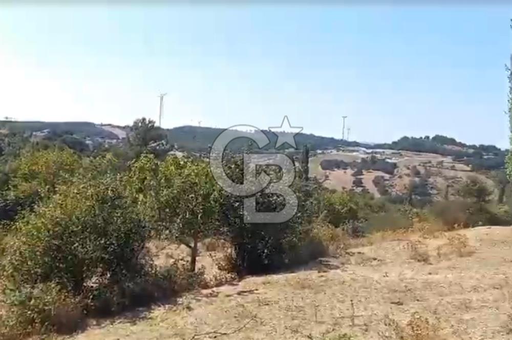 Çanakkale Ayvacık’da Ormana Cephe, Sınırından Dere Akan, Lokasyon Harikası 8,5 Dönüm Tarla!