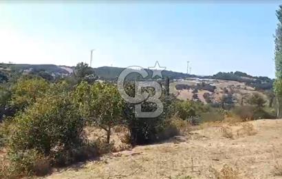 Çanakkale Ayvacık’da Ormana Cephe, Sınırından Dere Akan, Lokasyon Harikası 8,5 Dönüm Tarla!