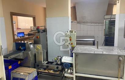 kiralık daire