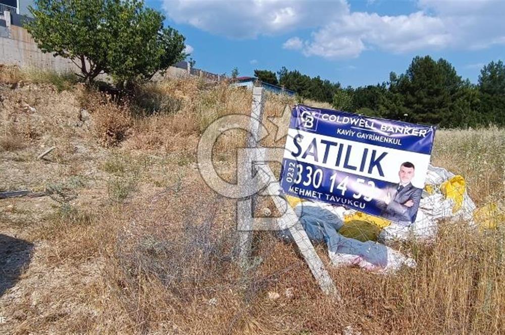 yakaköy hisseli tarla