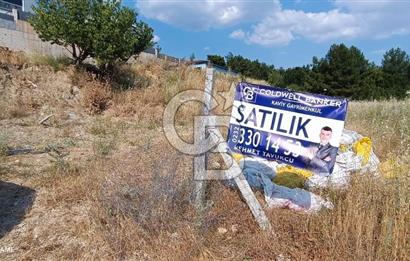yakaköy hisseli tarla