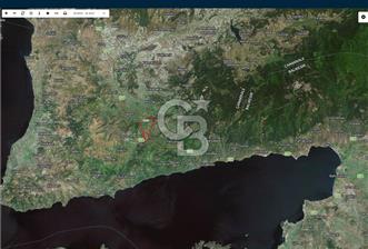 Çanakkale Ayvacık’da Ormana Cephe, Sınırından Dere Akan, Lokasyon Harikası 8,5 Dönüm Tarla! - 8 - 356599