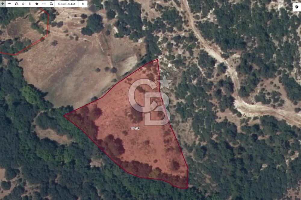 Çanakkale Ayvacık’da Ormana Cephe, Sınırından Dere Akan, Lokasyon Harikası 8,5 Dönüm Tarla!