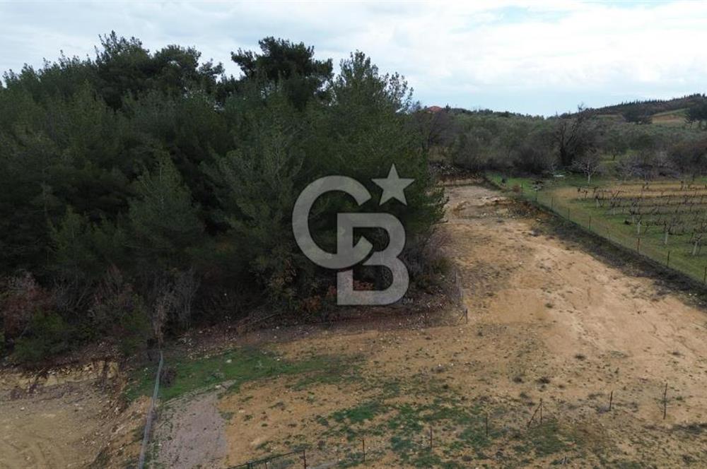 Yunusemre Büyüksümbüller'de Satılık Yatırımlık Tarla