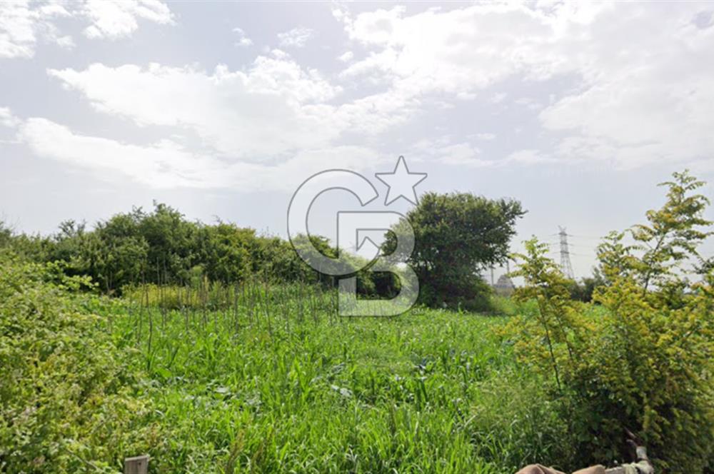 TAŞOLUK'TA SATILIK 450 M² HİSSELİ KONUT İMARLI ARSA