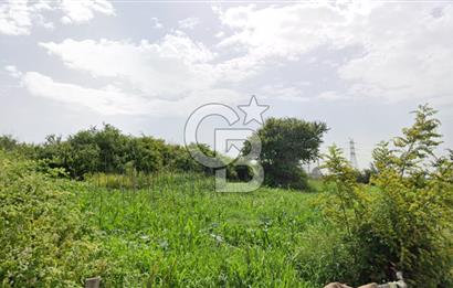 TAŞOLUK'TA SATILIK 450 M² HİSSELİ KONUT İMARLI ARSA