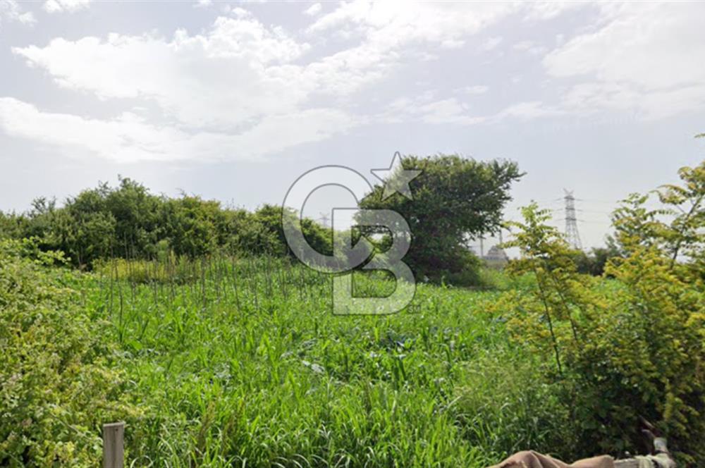TAŞOLUK'TA SATILIK 450 M² HİSSELİ KONUT İMARLI ARSA