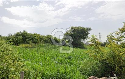 TAŞOLUK'TA SATILIK 450 M² HİSSELİ KONUT İMARLI ARSA