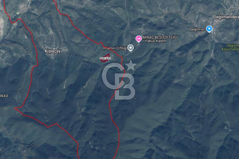 SAKARYA ARİFİYE KIŞLAÇAYDA SATILIK 12.030 M2 FINDIKLIK/ TARLA