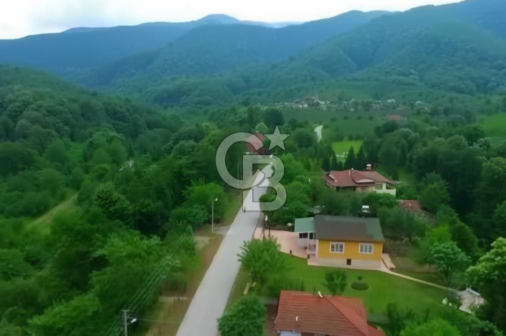 SAKARYA ARİFİYE KIŞLAÇAYDA SATILIK 12.030 M2 FINDIKLIK/ TARLA