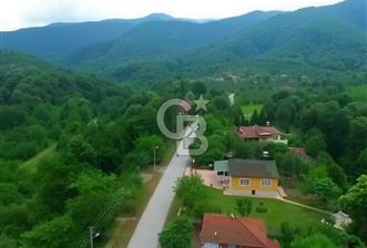 SAKARYA ARİFİYE KIŞLAÇAYDA SATILIK 12.030 M2 FINDIKLIK/ TARLA - 1 - 356693