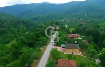 SAKARYA ARİFİYE KIŞLAÇAYDA SATILIK 12.030 M2 FINDIKLIK/ TARLA