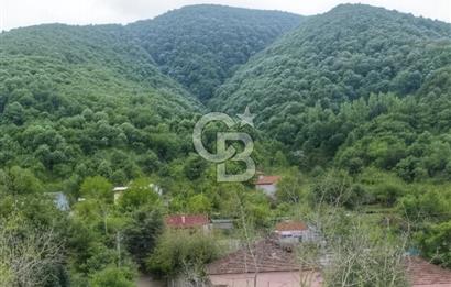 SAKARYA ARİFİYE KIŞLAÇAYDA SATILIK 12.030 M2 FINDIKLIK/ TARLA
