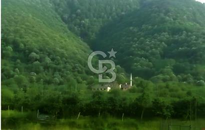 SAKARYA ARİFİYE KIŞLAÇAYDA SATILIK 12.030 M2 FINDIKLIK/ TARLA