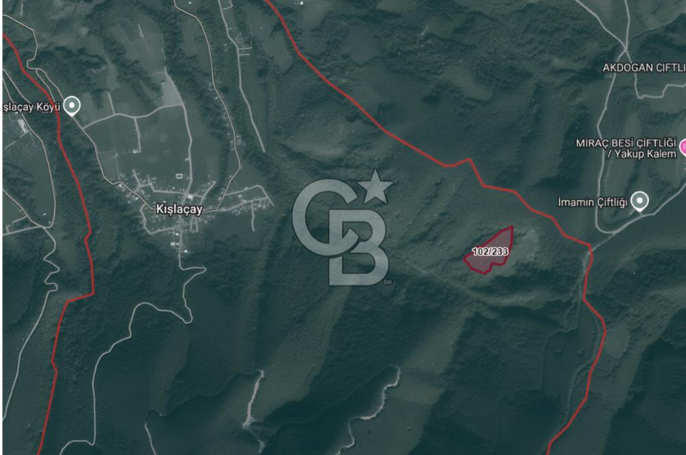 SAKARYA ARİFİYE KIŞLAÇAYDA SATILIK 12.030 M2 FINDIKLIK/ TARLA