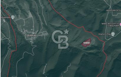 SAKARYA ARİFİYE KIŞLAÇAYDA SATILIK 12.030 M2 FINDIKLIK/ TARLA