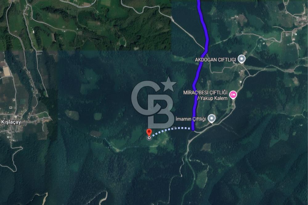 SAKARYA ARİFİYE KIŞLAÇAYDA SATILIK 12.030 M2 FINDIKLIK/ TARLA