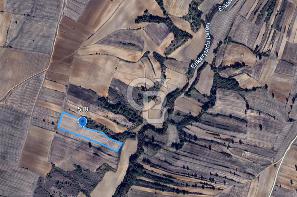 BABAESKİ KARABAYIR'DA SATILIK 12.550 M² TEK TAPU TARLA