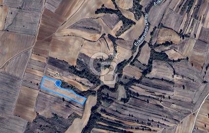 BABAESKİ KARABAYIR'DA SATILIK 12.550 M² TEK TAPU TARLA