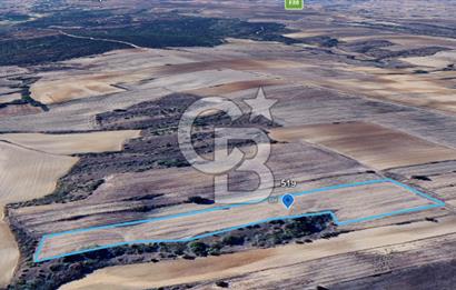 BABAESKİ KARABAYIR'DA SATILIK 12.550 M² TEK TAPU TARLA