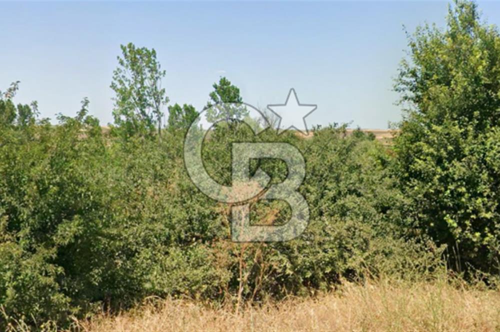BABAESKİ DÜĞÜNCÜLÜ'DE SATILIK 12.485 M2 TEK TAPU TARLA