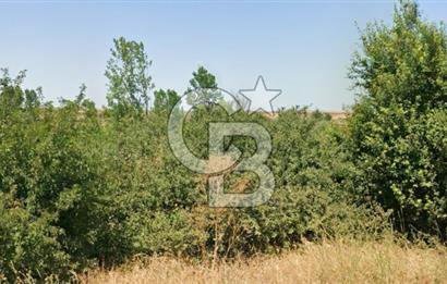 BABAESKİ DÜĞÜNCÜLÜ'DE SATILIK 12.485 M2 TEK TAPU TARLA